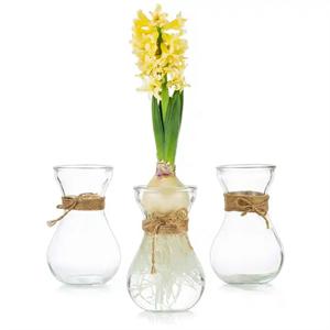 Glass hyacinth vase, 100mm dia.x 145mm h Glass hyacinth vase, 100mm dia.x 145mm h