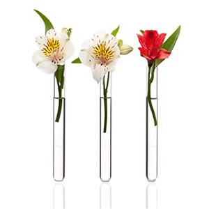 Lab flat or round bottom test borosilicate glass tube with cork stopper, 23mm dia.x 120mm h